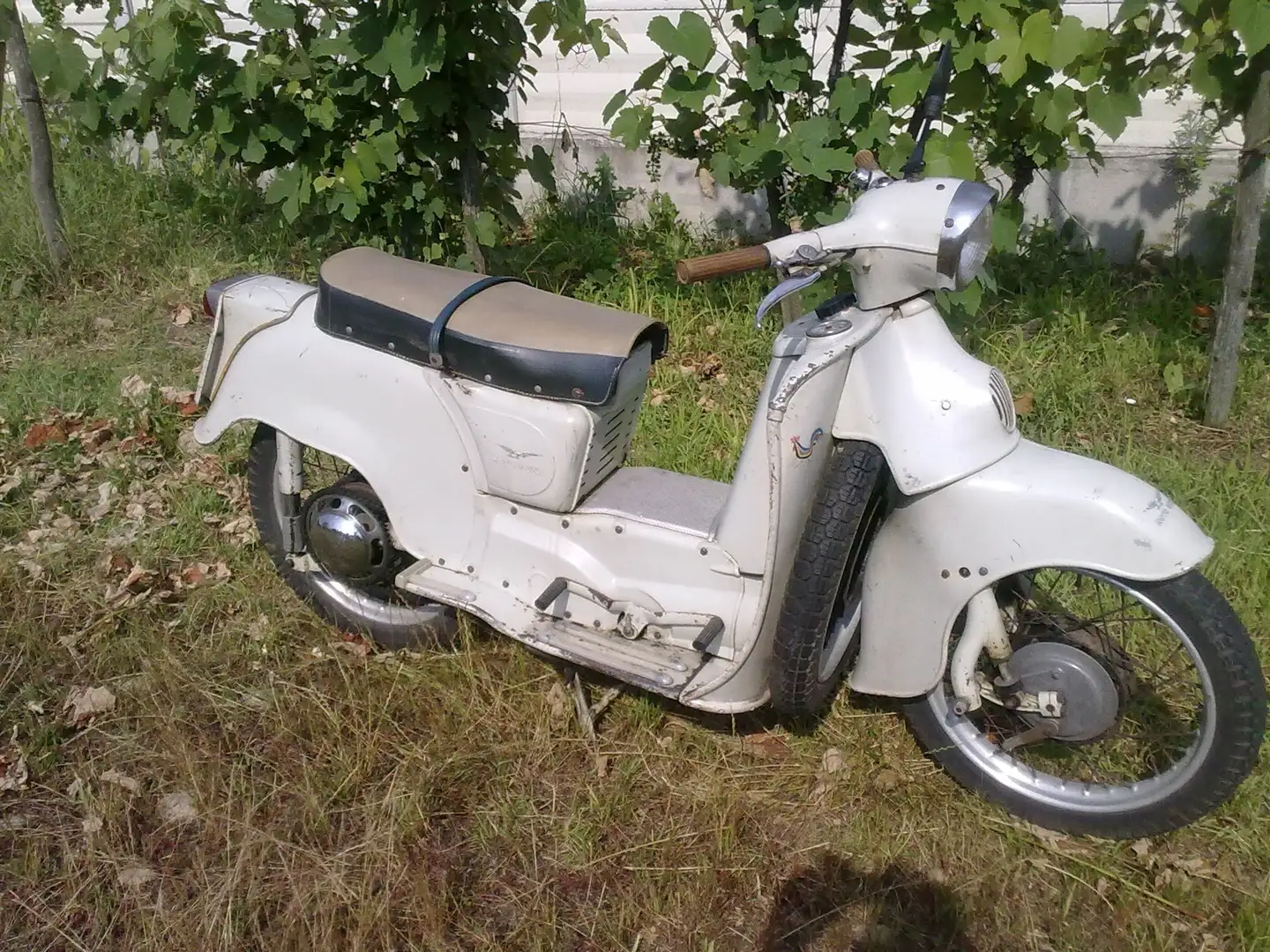 Moto Guzzi Galletto 192 AE Gris - 1