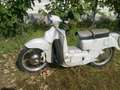 Moto Guzzi Galletto 192 AE Gris - thumbnail 2