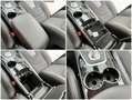 Ford Galaxy 2.0 EcoBlue 190cv E6 aut.8 AWD 7Posti Titanium B. Zöld - thumbnail 38