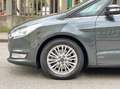 Ford Galaxy 2.0 EcoBlue 190cv E6 aut.8 AWD 7Posti Titanium B. Verde - thumbnail 12