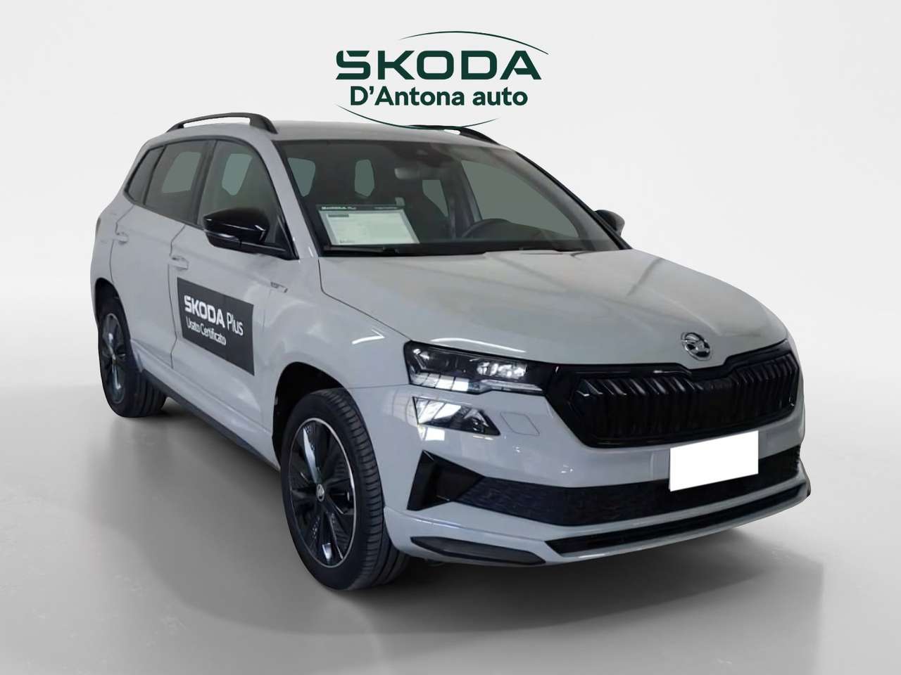 Skoda Karoq 2.0 TDI EVO SCR 115 CV DSG SportLine