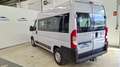 Fiat Ducato Panorama 33 2.3Mjt Medio T. Alto Blanco - thumbnail 6