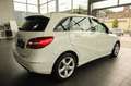 Mercedes-Benz B 200 Sports Tourer/Sport-Paket/Park-Assistent Blanc - thumbnail 5