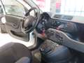 Fiat Panda Panda III 2016 1.0 hybrid Easy * Weiß - thumbnail 10