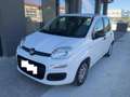 Fiat Panda Panda III 2016 1.0 hybrid Easy * Blanc - thumbnail 1