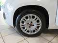Fiat Panda Panda III 2016 1.0 hybrid Easy * Weiß - thumbnail 14