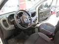 Fiat Panda Panda III 2016 1.0 hybrid Easy * Weiß - thumbnail 6