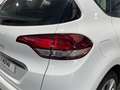 Renault Scenic 1.3 TCe Energy Zen 118kW Blanco - thumbnail 18