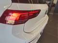 Volkswagen Golf 1.5 tgi life 130cv dsg Bianco - thumbnail 14