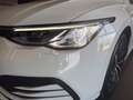 Volkswagen Golf 1.5 tgi life 130cv dsg Bianco - thumbnail 12