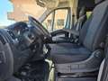 Fiat Ducato 2.3 MJT 150CV Combi Maxi 9 posti  full optional Grigio - thumbnail 5