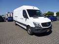 Mercedes-Benz Sprinter 316 cdi MAXI TOP+Standhzg+Navi+Klima+Holzboden+1.H Weiß - thumbnail 5