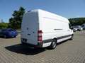 Mercedes-Benz Sprinter 316 cdi MAXI TOP+Standhzg+Navi+Klima+Holzboden+1.H Weiß - thumbnail 7