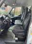 Renault Master Master ENERGY dCi 165 L3H1 VA FLEXBOX Weiß - thumbnail 6