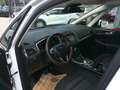 Ford Galaxy Titanium Hybrid. Aut. Weiß - thumbnail 15