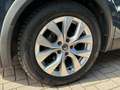 Renault Captur Captur Blue dCi 95 CV Intens Bleu - thumbnail 8