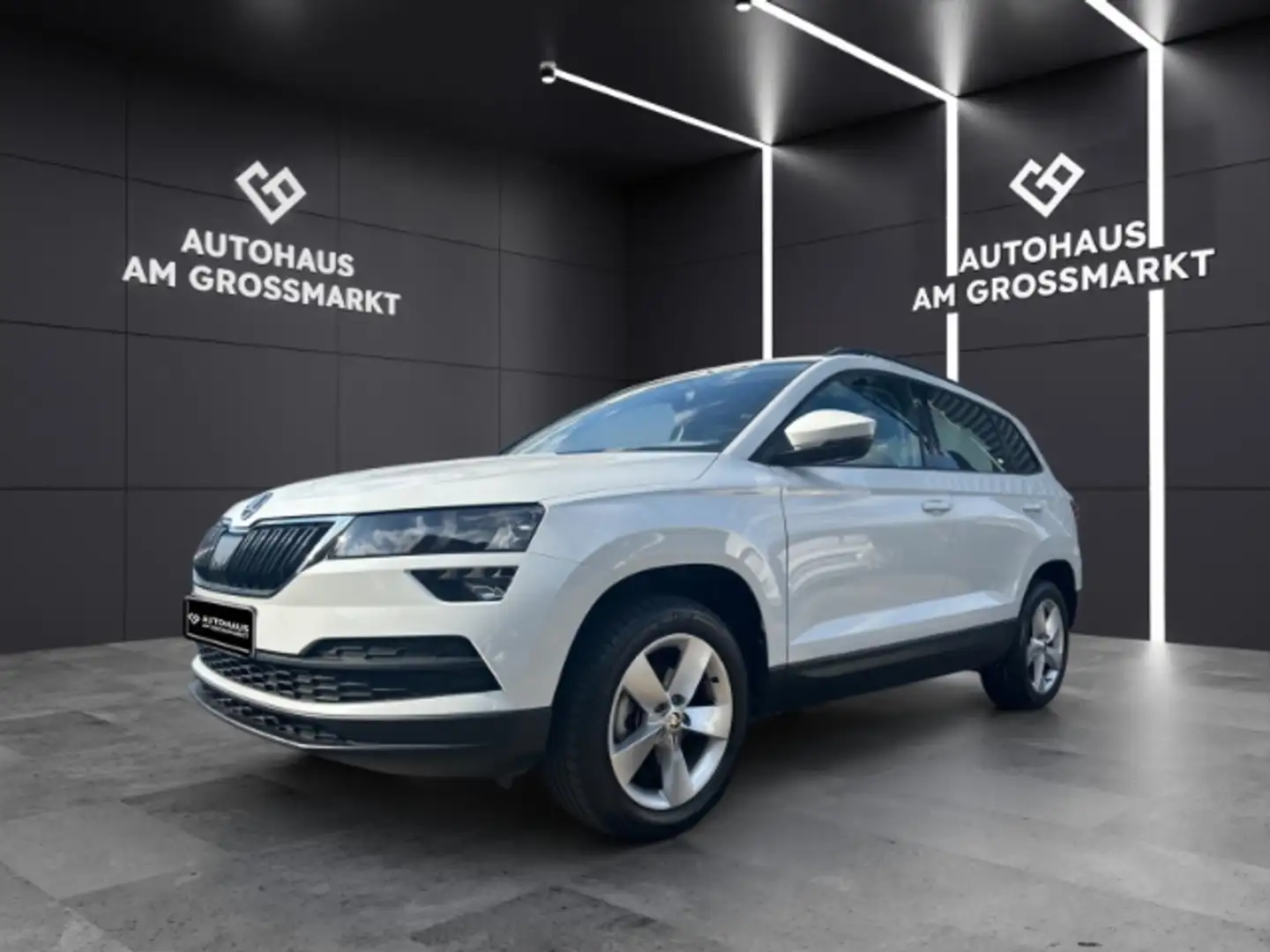 Skoda Karoq Ambition 1.0 TSI Navi, Parksensoren hi Blanco - 2