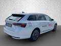 Skoda Octavia Combi 2.0 TDI DSG - Selection Weiß - thumbnail 5