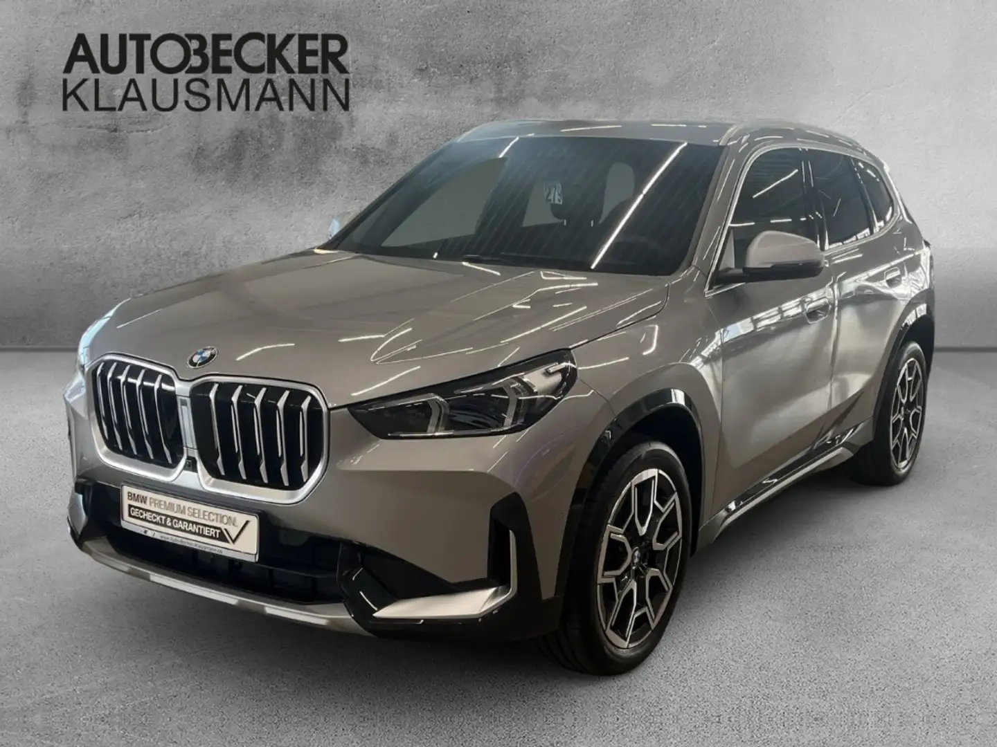 BMW X1 xDRIVE 23d AUTOMATIK 19''LC PROF HuD AHK KAMERA 36 Silber - 1