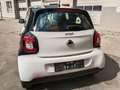 smart forFour smart forfour Passion twinamic Aut. Passion Weiß - thumbnail 2