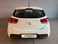 Kia Rio 1.2 Style Gpl 82cv Bianco - thumbnail 8