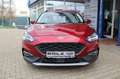 Ford Focus Active Red - thumbnail 2