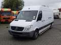 Mercedes-Benz Sprinter 313 EXPORT (Stock ID 75917) Wit - thumbnail 1