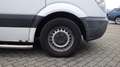 Mercedes-Benz Sprinter 313 EXPORT (Stock ID 75917) Wit - thumbnail 10