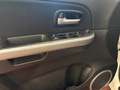 Suzuki Grand Vitara 5P. 1.9 ddis 4x4 100 ANNIVERSARIO - TAGLIANDATO Bianco - thumbnail 8