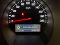 Suzuki Grand Vitara 5P. 1.9 ddis 4x4 100 ANNIVERSARIO - TAGLIANDATO Bianco - thumbnail 13
