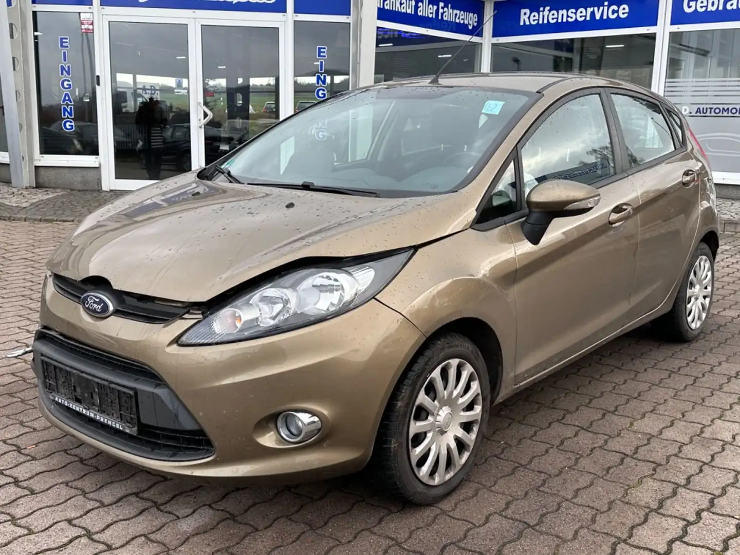 Ford Fiesta Trend Braun - 1