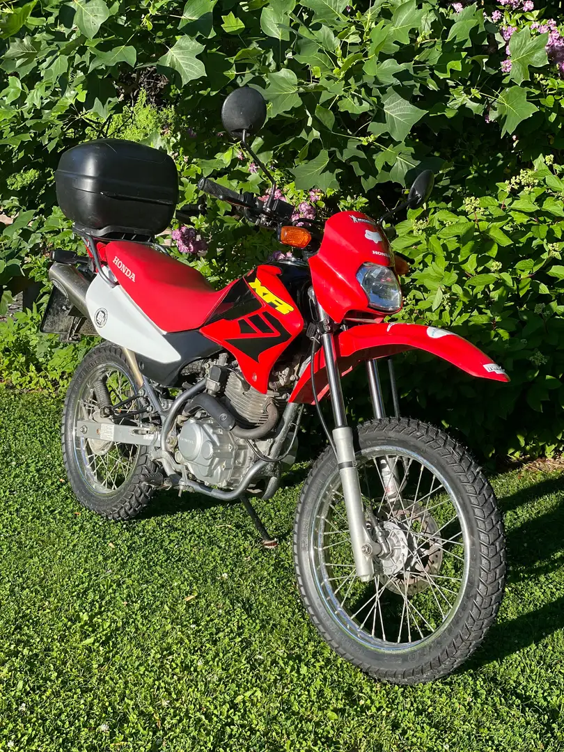 Honda XR 125 Enduro Rouge - 2