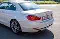 BMW 420 420d Cabrio Sport Line Aut. Sport Line Weiß - thumbnail 10