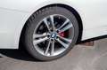 BMW 420 420d Cabrio Sport Line Aut. Sport Line Weiß - thumbnail 12