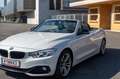 BMW 420 420d Cabrio Sport Line Aut. Sport Line Weiß - thumbnail 11