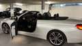 BMW 420 420d Cabrio Sport Line Aut. Sport Line Weiß - thumbnail 10