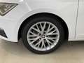 SEAT Leon 1.4 TGI 5p. Business HIGH Blanc - thumbnail 13