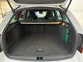 Skoda Octavia Combi 2.0 TSI DSG RS 245 Pano Navi ACC Weiß - thumbnail 9