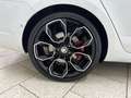 Skoda Octavia Combi 2.0 TSI DSG RS 245 Pano Navi ACC Weiß - thumbnail 21