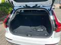 Volvo V60 T6 Kombi Core Recharge Plug-In Hybrid AWD Blanc - thumbnail 14