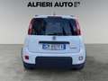 Fiat Panda 1.0 FireFly Hybrid 70cv City Life - PREZZO REALE Bianco - thumbnail 5
