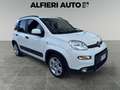 Fiat Panda 1.0 FireFly Hybrid 70cv City Life - PREZZO REALE Bianco - thumbnail 1