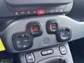 Fiat Panda 1.0 FireFly Hybrid 70cv City Life - PREZZO REALE Bianco - thumbnail 13
