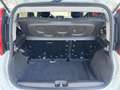 Fiat Panda 1.0 FireFly Hybrid 70cv City Life - PREZZO REALE Bianco - thumbnail 15