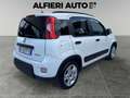 Fiat Panda 1.0 FireFly Hybrid 70cv City Life - PREZZO REALE Bianco - thumbnail 6