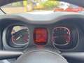Fiat Panda 1.0 FireFly Hybrid 70cv City Life - PREZZO REALE Bianco - thumbnail 11