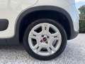 Fiat Panda 1.0 FireFly Hybrid 70cv City Life - PREZZO REALE Blanco - thumbnail 20