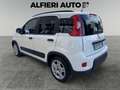 Fiat Panda 1.0 FireFly Hybrid 70cv City Life - PREZZO REALE Bianco - thumbnail 4