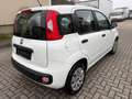 Fiat New Panda Pop Weiß - thumbnail 4