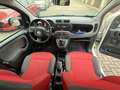 Fiat New Panda Pop Weiß - thumbnail 9